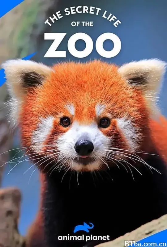 动物园的秘密生活 第四季/The Secret Life of the Zoo Season 4