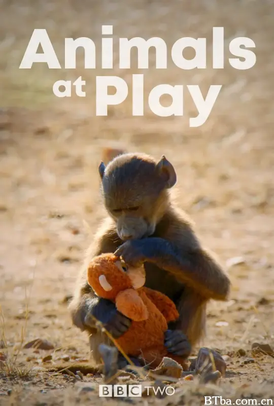 动物玩耍/Animals at Play