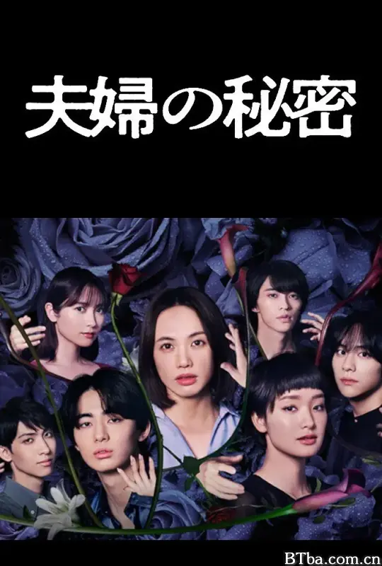 夫妇的秘密/夫婦の秘密