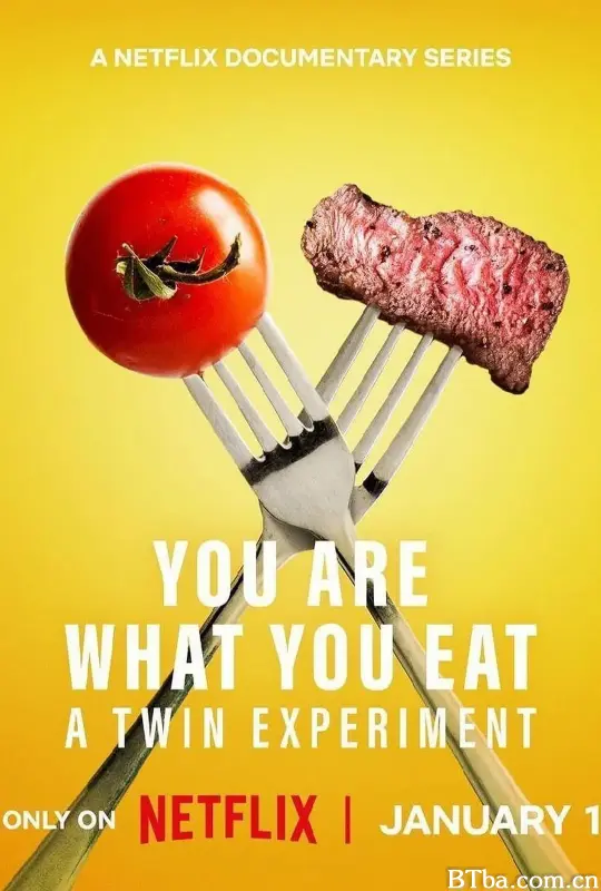 人如其食：双胞胎饮食实验/You Are What You Eat: A Twin Experiment