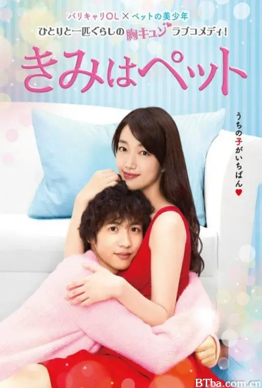 宠物情人/きみはペット