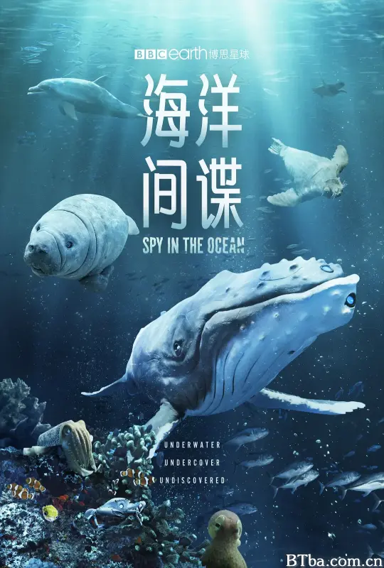 海洋间谍/Spy in the Ocean
