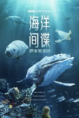 海洋间谍/Spy in the Ocean