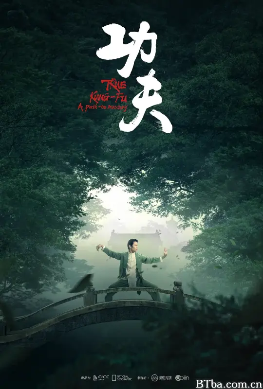功夫 (2023) 4K/WEB-DL BT磁力 迅雷网盘下载-影音屋