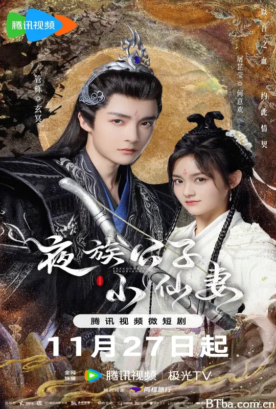 夜族公子小仙妻