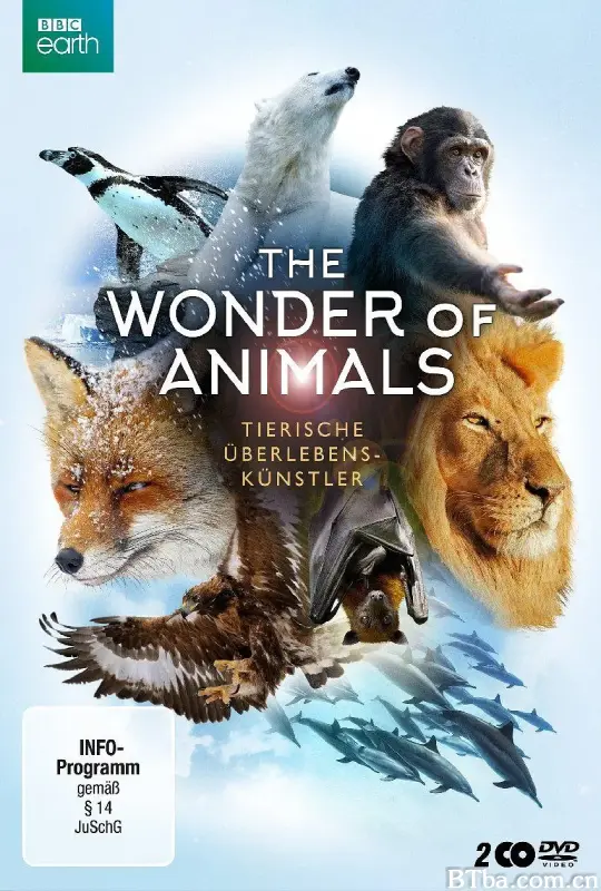 神奇动物大揭秘/The Wonder of Animals