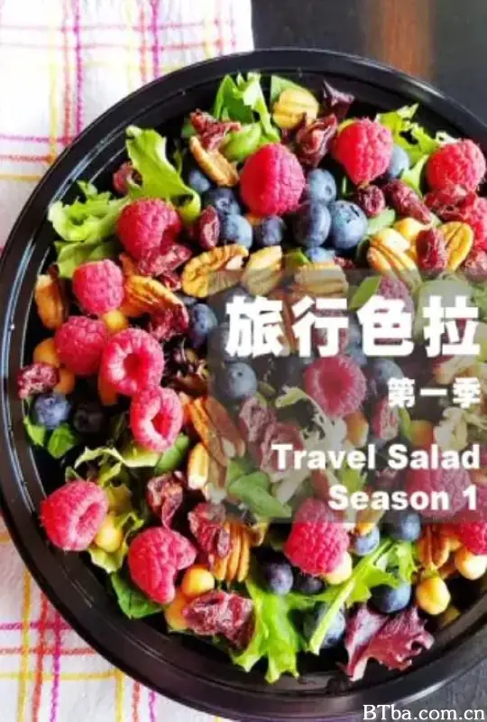 旅行色拉 travel salad (2017) 1080P/WEB-DL BT磁力 迅雷网盘下载