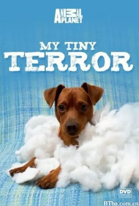 狗狗淘气包 my tiny terror (2014) 1080P/WEB-DL BT磁力 迅雷网盘下载-影音屋