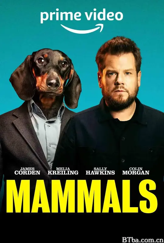 哺乳动物/Mammals