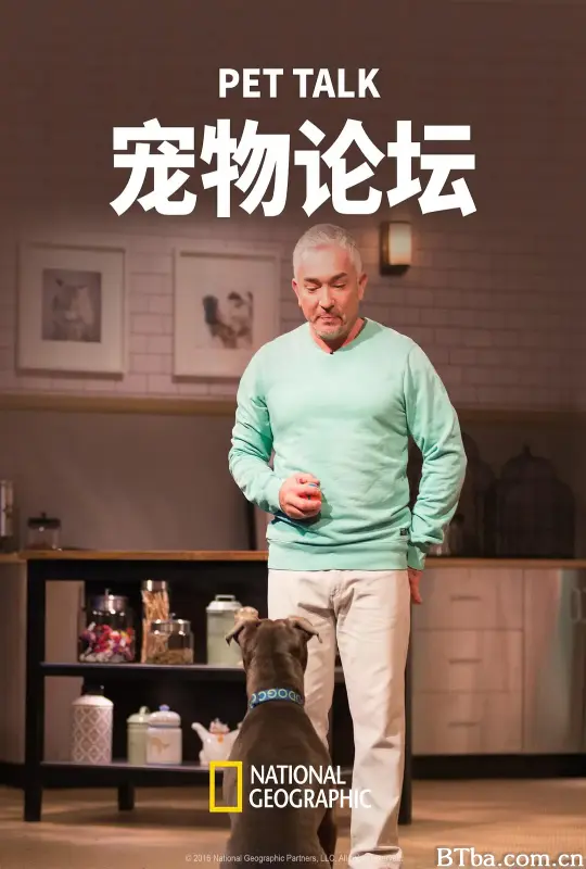 宠物论坛 第一季 Pet Talk Season 1 (2016) 1080P/WEB-DL BT磁力 迅雷网盘下载