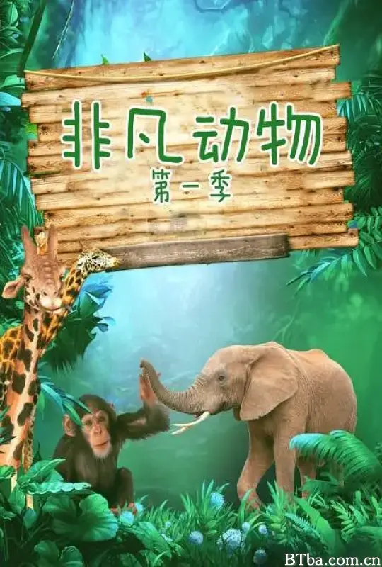 非凡动物 第一季/extraordinary animals Season 1