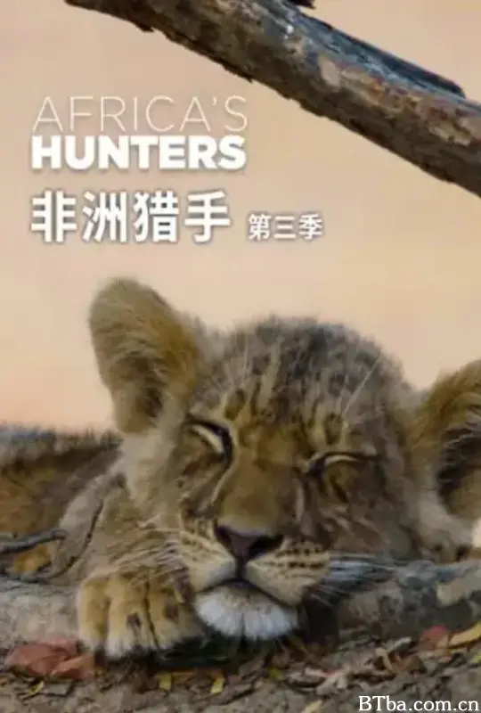 非洲猎手们 第三季 (2018) 1080P/WEB-DL BT磁力 迅雷网盘下载-影音屋
