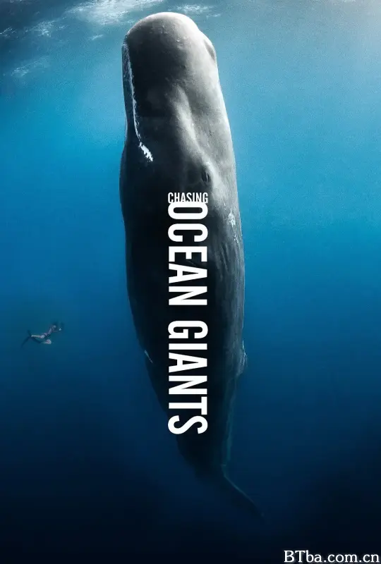 追踪海洋巨兽 Chasing Ocean Giants (2021) 4K/WEB-DL BT磁力 迅雷网盘下载