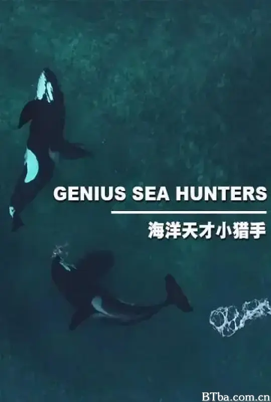 海洋天才小猎手 Genius Sea Hunters (2020) 4K/WEB-DL BT磁力 迅雷网盘下载-影音屋