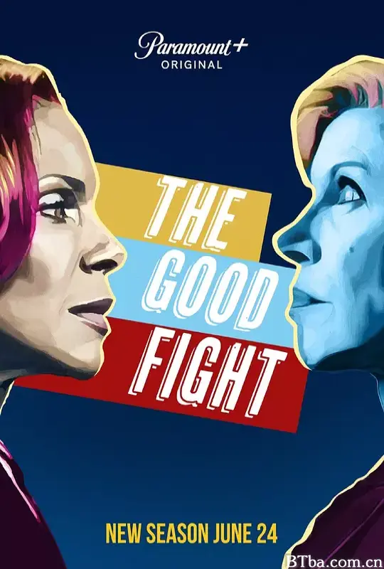 傲骨之战 第五季/The Good Fight Season 5