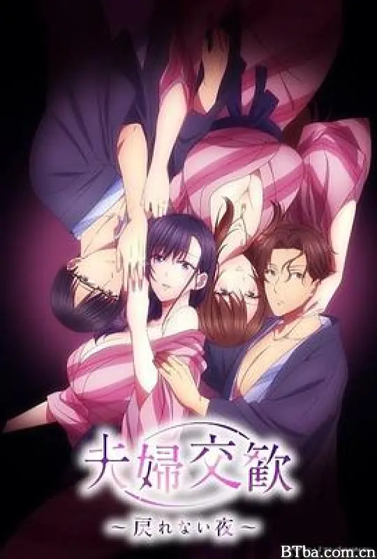 夫妇联欢~回不去的夜晚~/夫婦交歓～戻れない夜～