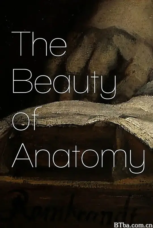 解剖之美 The Beauty of Anatomy (2014) 1080P/WEB-DL BT磁力 迅雷网盘下载-影音屋