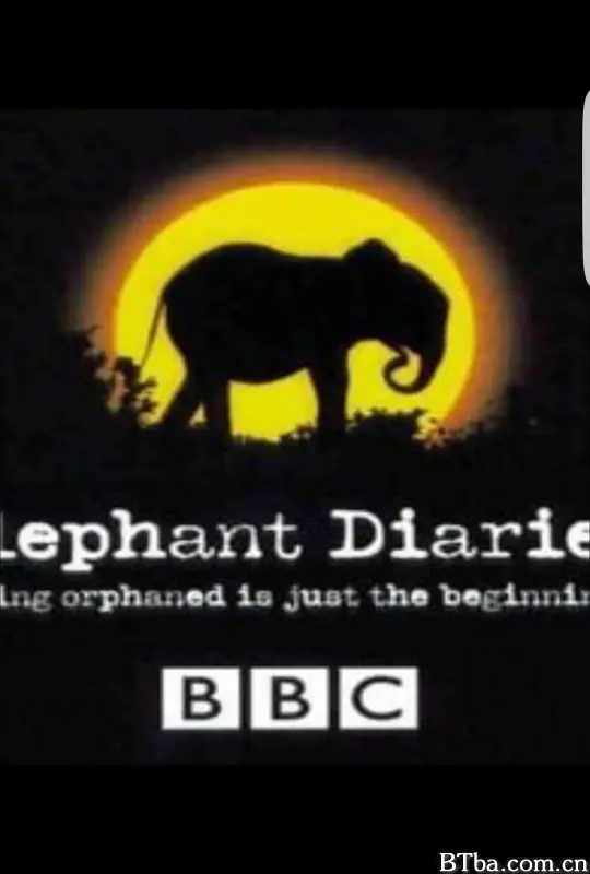 大象日记 第一季 Elephant Diaries Season 1 (2008) 720P/WEB-DL BT磁力 迅雷网盘下载-影音屋