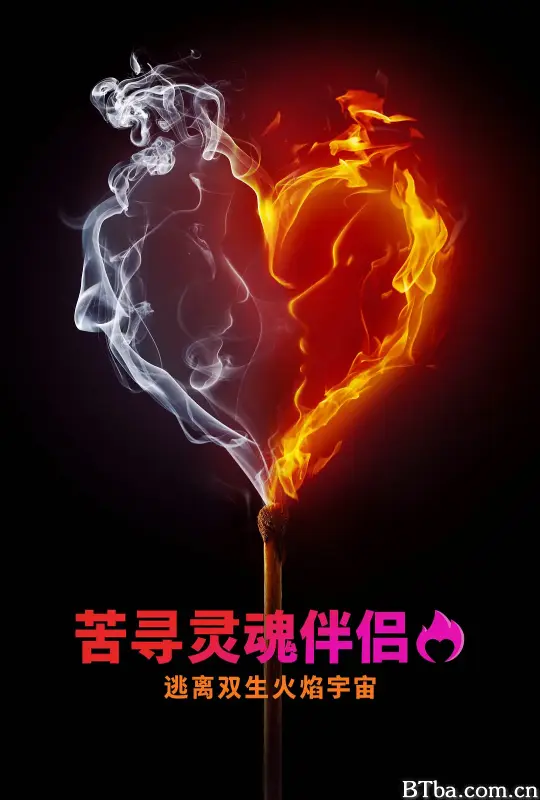 寻找灵魂伴侣：逃离双生火焰宇宙 Desperately Seeking Soulmate: Escaping Twin Flames Universe (2023) 1080P BT磁力 迅雷网盘下载-影音屋