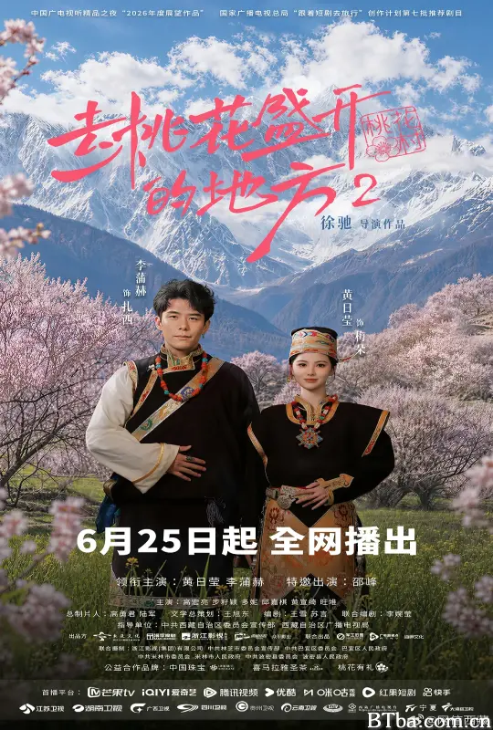 去桃花盛开的地方2 (2026) 1080P/4K BT磁力 迅雷网盘下载