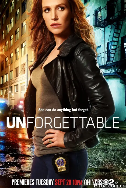 记忆神探  第一季/Unforgettable Season 1