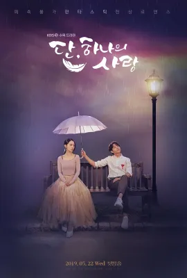 仅此一次的爱情/단 하나의 사랑