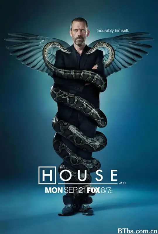 豪斯医生 第六季 House M.D. Season 6 (2009) 1080P/720P BT磁力 迅雷网盘下载-影音屋