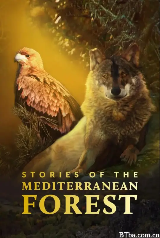 神奇的地中海盆地 Stories of the Mediterranean Forest (2017) 1080P BT磁力 迅雷网盘下载-影音屋