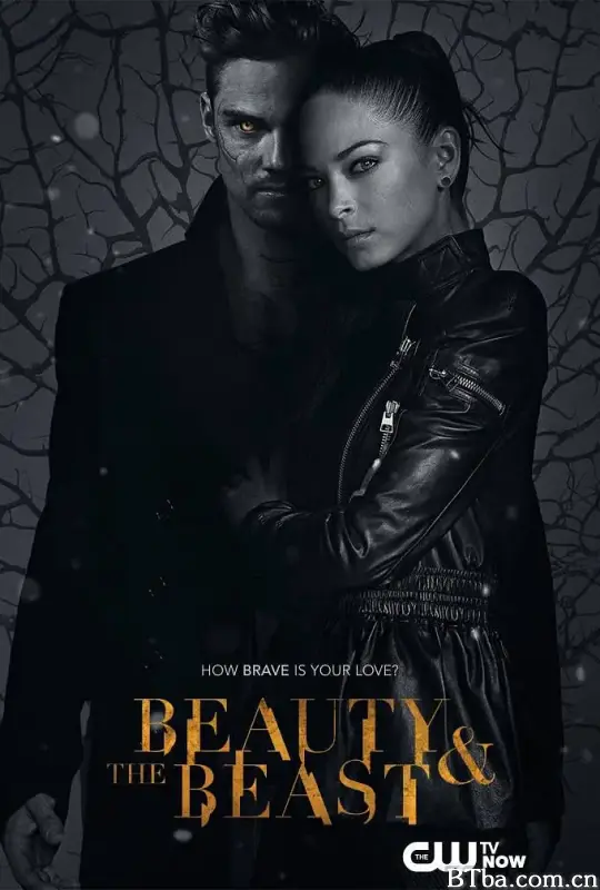 侠胆雄狮 第三季 Beauty and the Beast Season 3 (2015) 1080P/720P BT磁力 迅雷网盘下载-影音屋