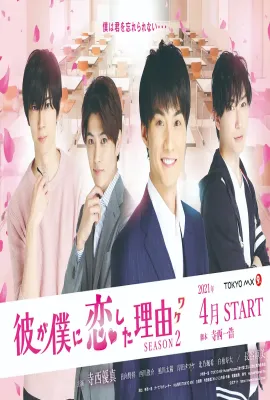 他爱上我的理由 第二季/彼が僕に恋した理由 SEASON 2