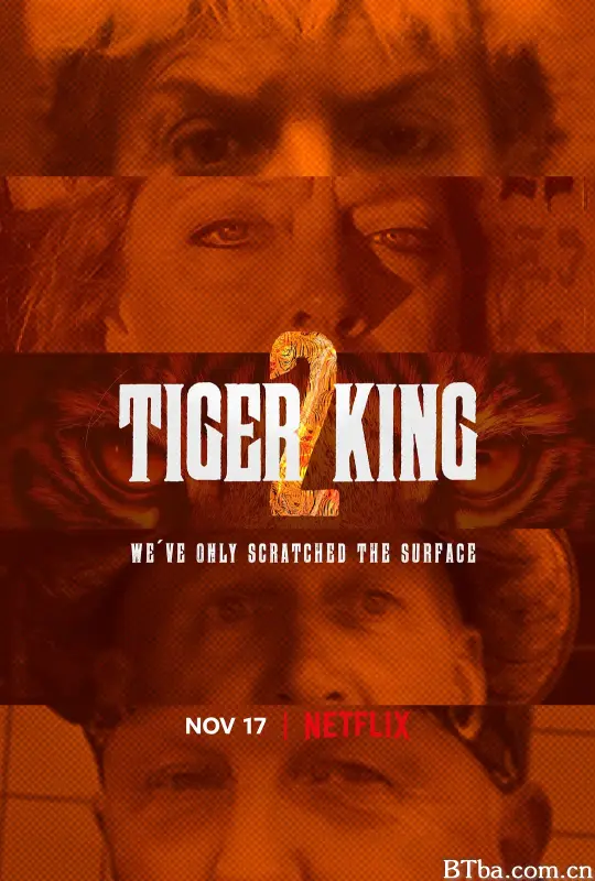 养虎为患 第二季/Tiger King 2 Season 2