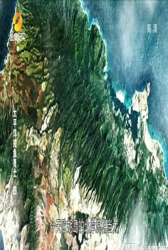 太平洋独木战士/Pacific Warriors