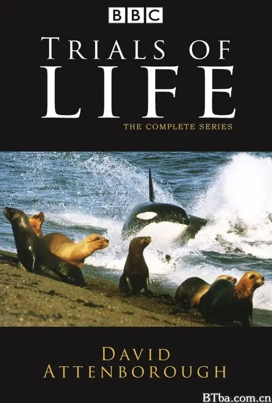 生命之源/The Trials of Life