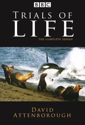 生命之源/The Trials of Life
