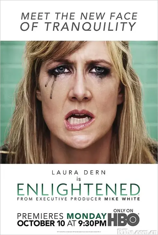 醍醐灌顶 第一季/Enlightened Season 1