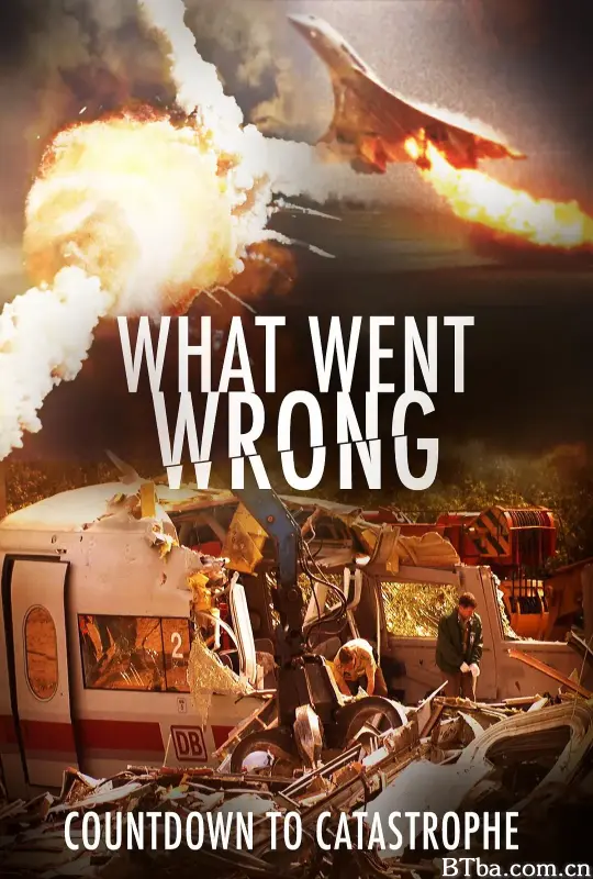 出了什么问题：灾难倒计时 第一季 What Went Wrong：Countdown to Catastrophe Season 1 (2019) 1080P/720P BT磁力 迅雷网盘下载