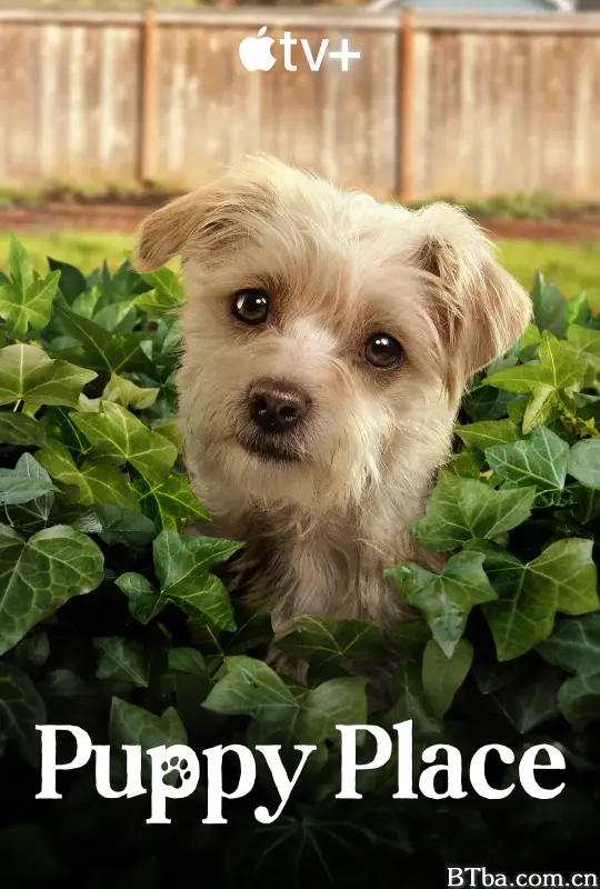 狗狗天地 第二季/Puppy Place Season 2