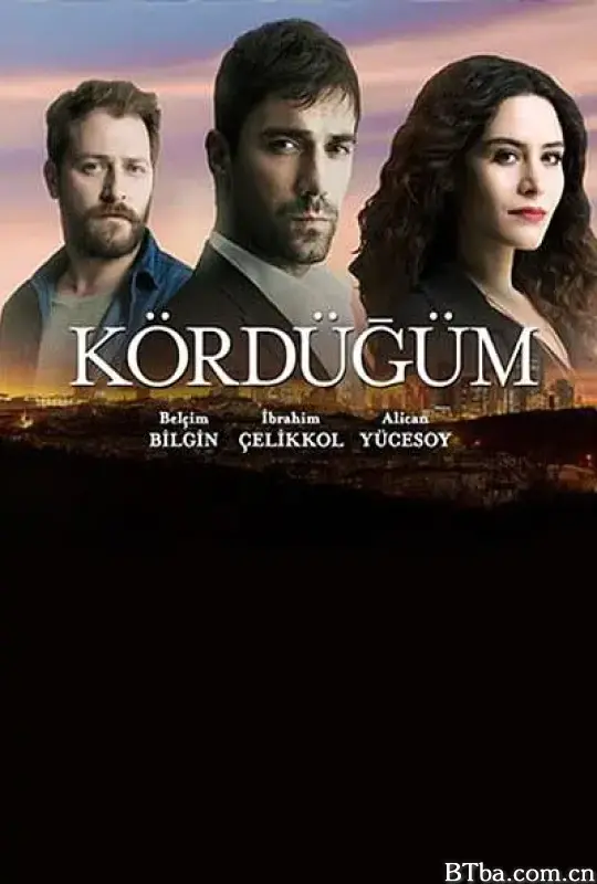 爱情交叉点/Kördügüm