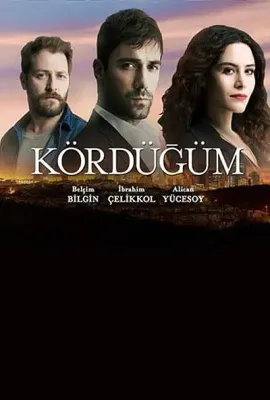 爱情交叉点/Kördügüm