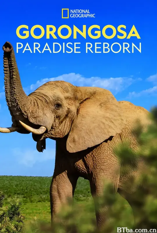 哥隆戈萨天堂重生/Gorongosa: Paradise Reborn