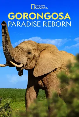 哥隆戈萨天堂重生/Gorongosa: Paradise Reborn