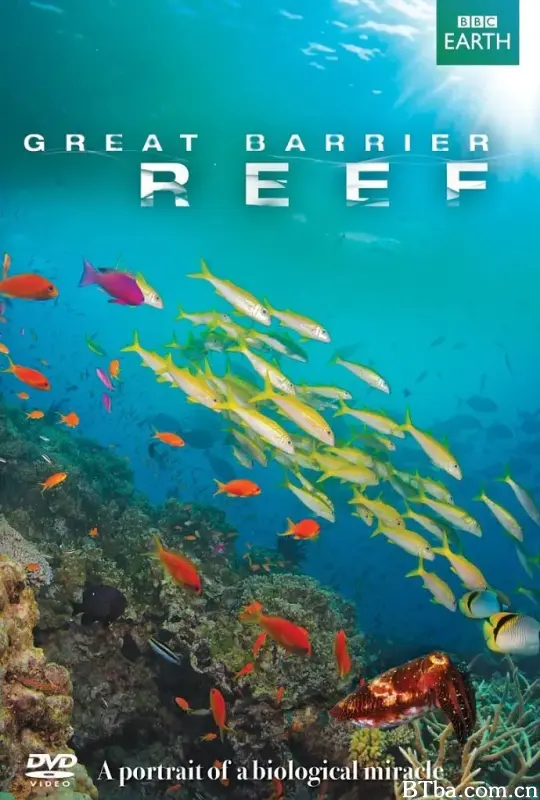 大堡礁/Great Barrier Reef
