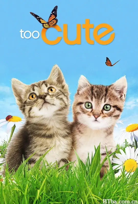 萌宠成长记 第一季 Too Cute! Season 1 (2011) 1080P BT磁力 迅雷网盘下载-影音屋