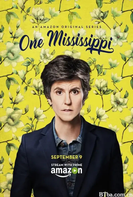 密西西比 第一季/One Mississippi Season 1