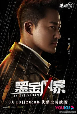 黑金风暴/黑金風暴