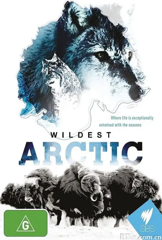 野性北极/Wildest Arctic