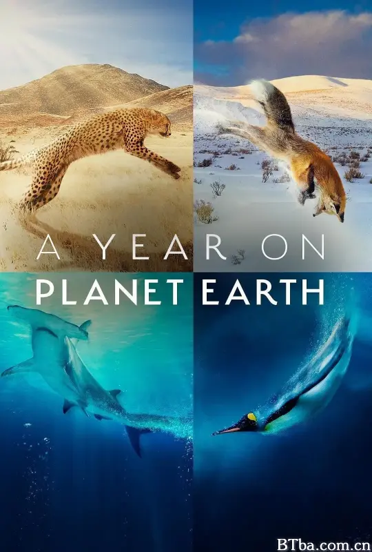 地球上的一年 A Year on Planet Earth (2022) 1080P/4K BT磁力 迅雷网盘下载-影音屋