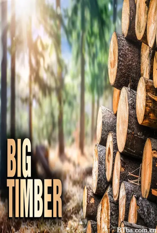 终极伐木达人 第一季/Big Timber Season 1