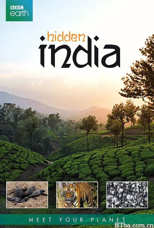 隐秘的印度 隐秘的印度 Hidden India (2015) 1080P BT磁力 迅雷网盘下载