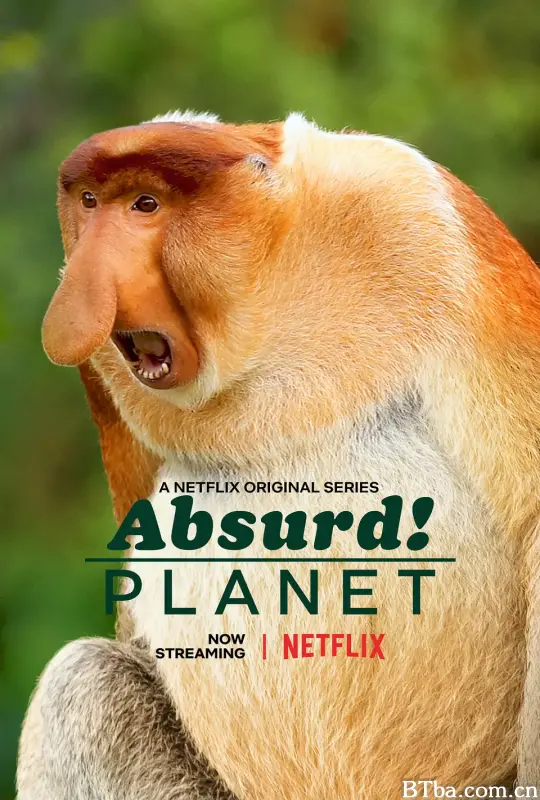 怪诞星球/Absurd Planet